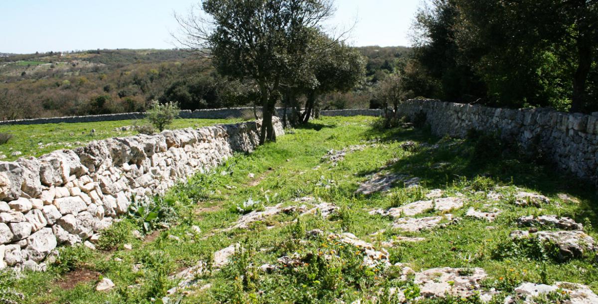 Barsento campagna