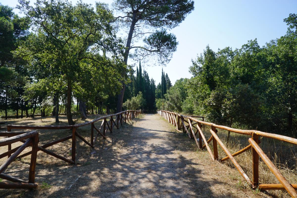 Bosco Selva